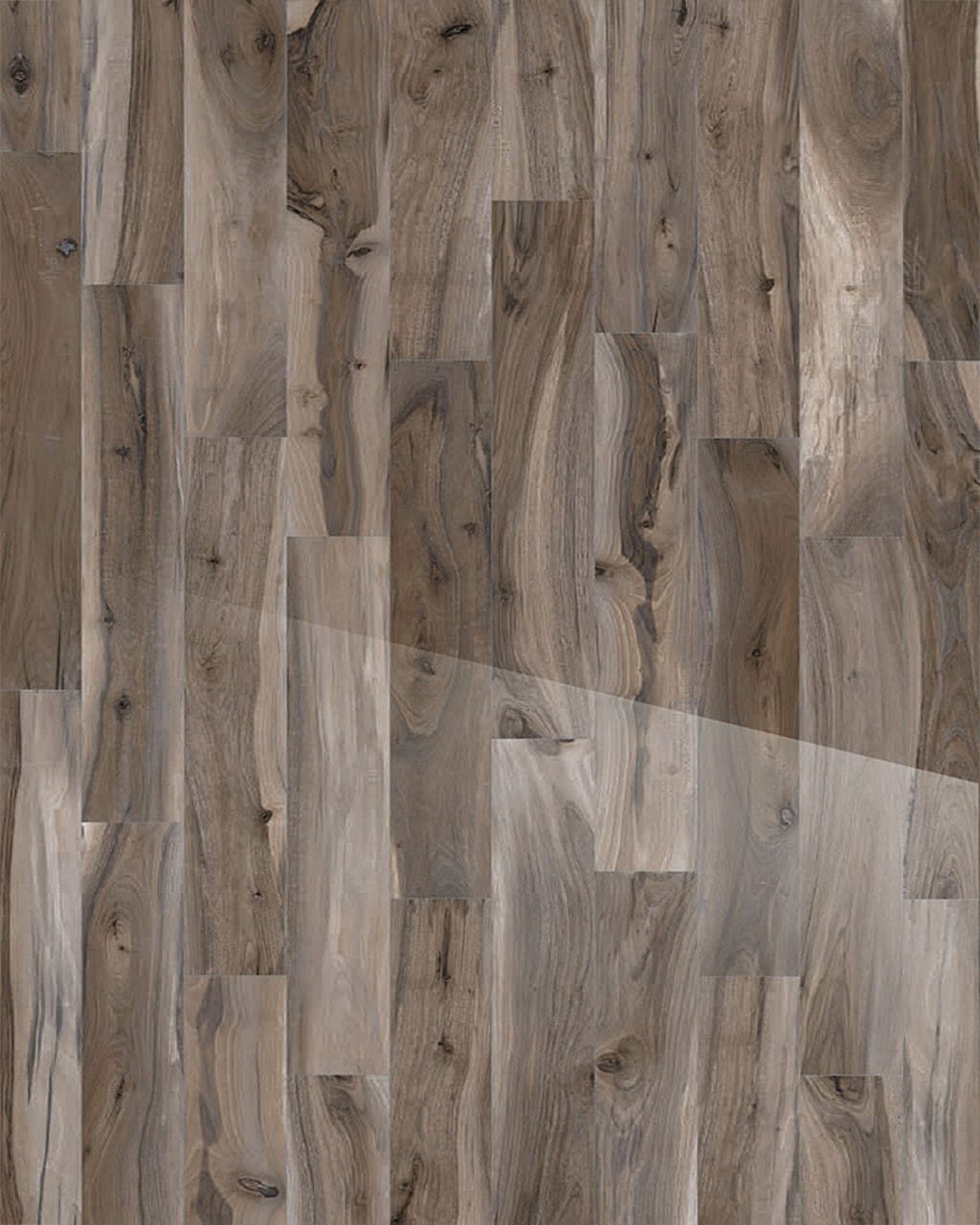 Kauri Fiordland Polished 8 x 48 Porcelain Wood Look Tile