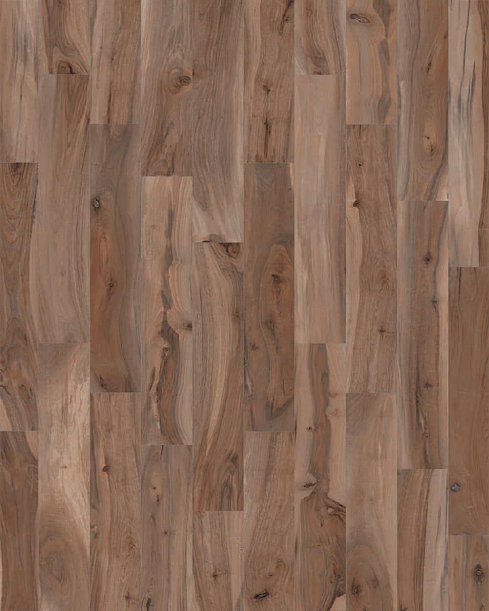 kauri-kaimai-8-x-48-porcelain-wood-look-tile