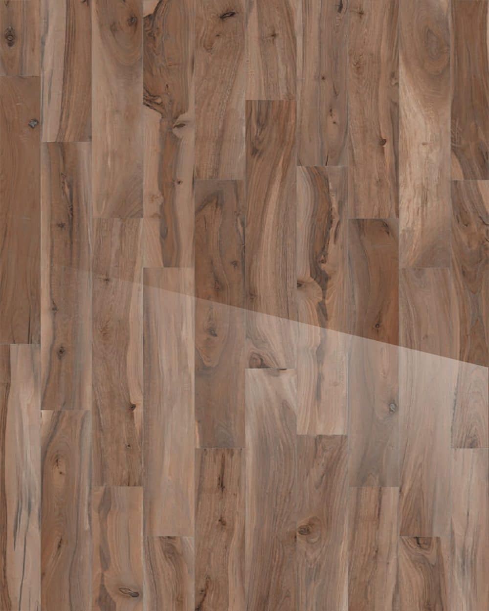 kauri-kaimai-polished-8-x-48-porcelain-wood-look-tile