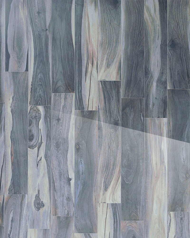 Kauri Tasman Polished 8 x 48 Porcelain Wood Look Tile