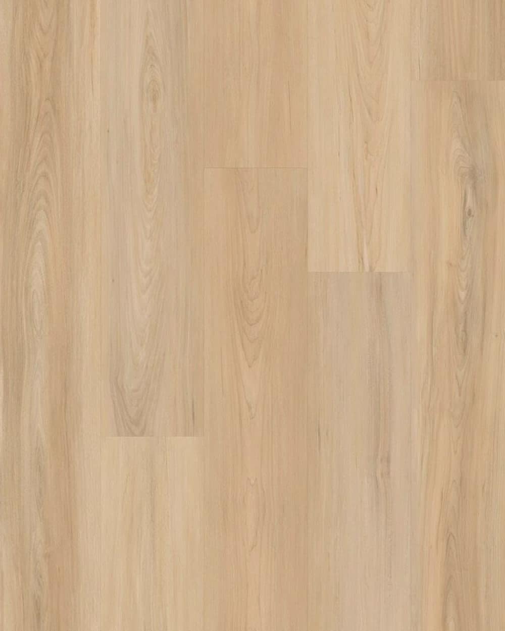 matriarch-charlotte-12-mm-laminate-floor