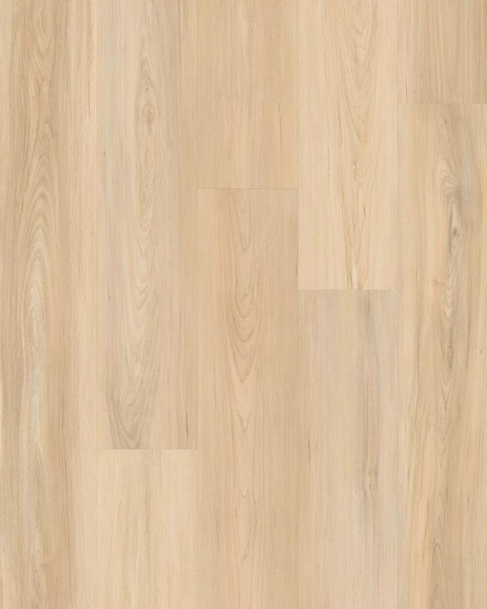 matriarch-sophia-12-mm-laminate-floor