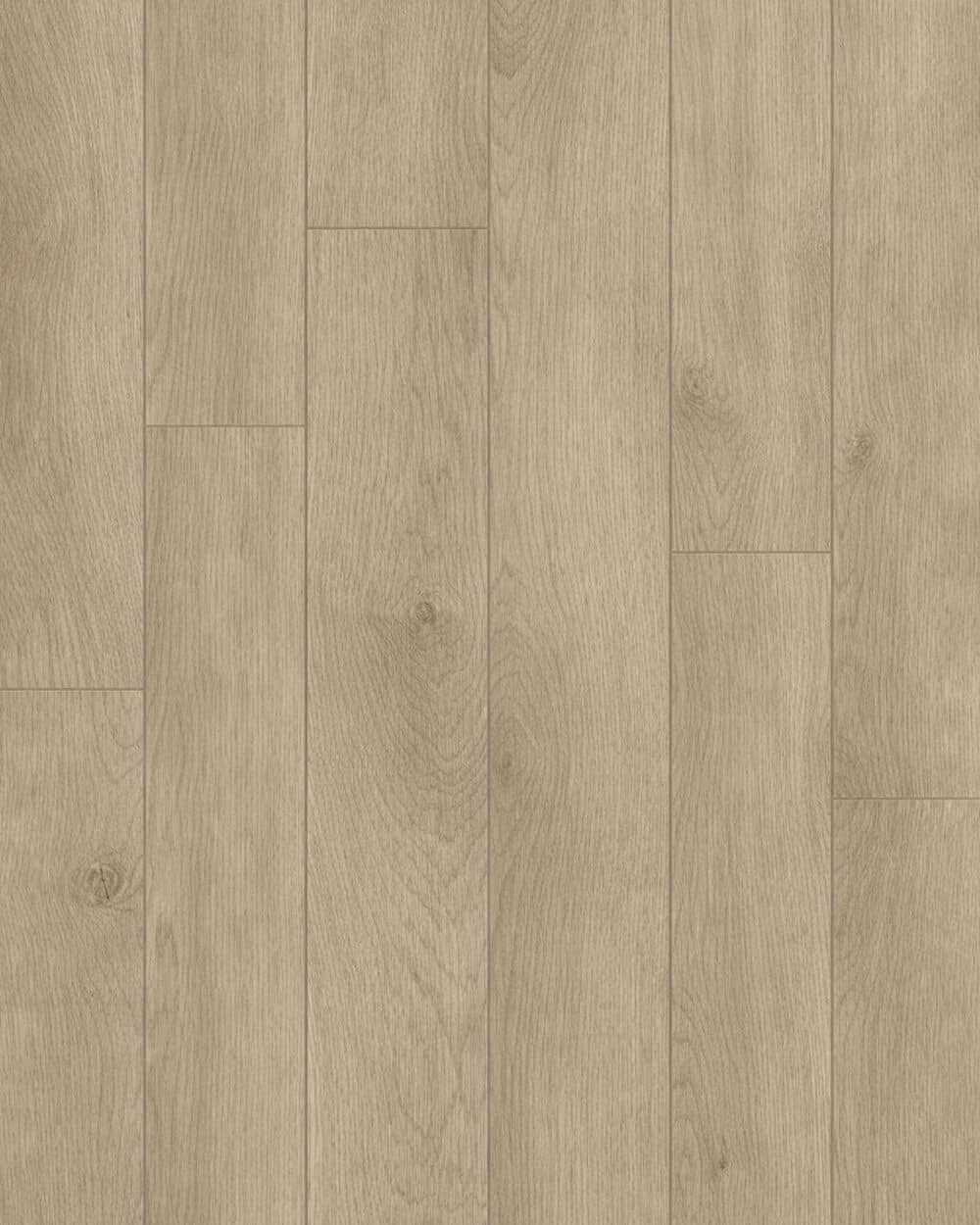 timber-guard-newport-10-mm-laminate-floor