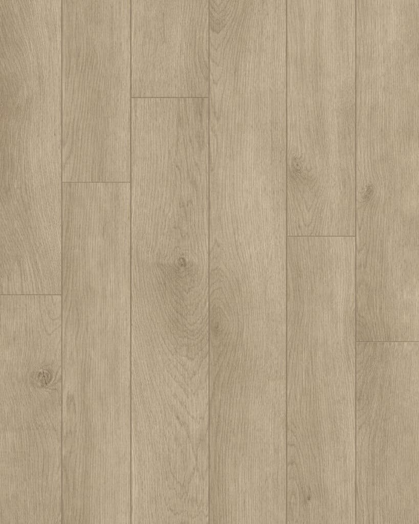 Timber Guard Newport 10 mm. Laminate Floor
