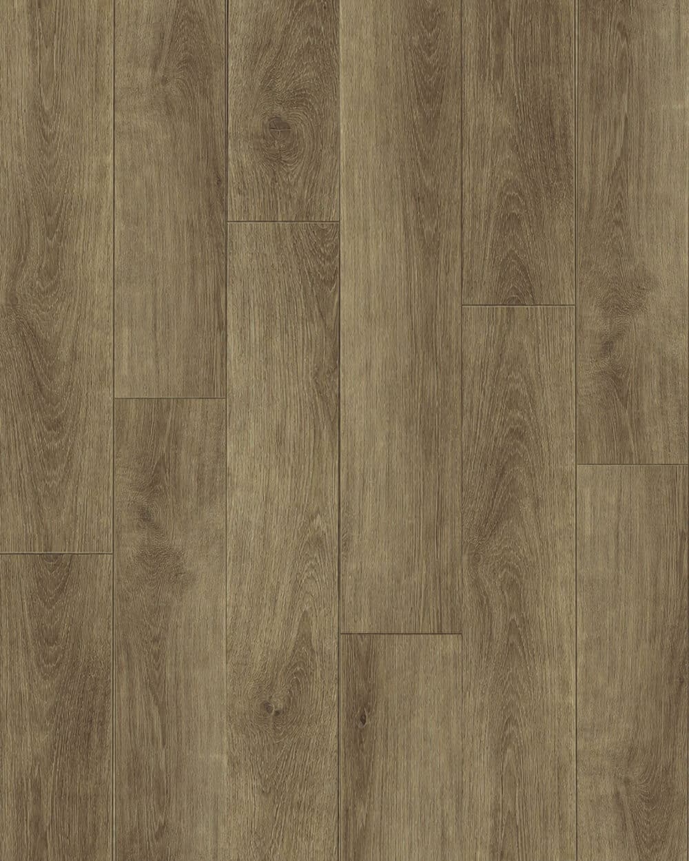 timber-guard-sundance-10-mm-laminate-floor